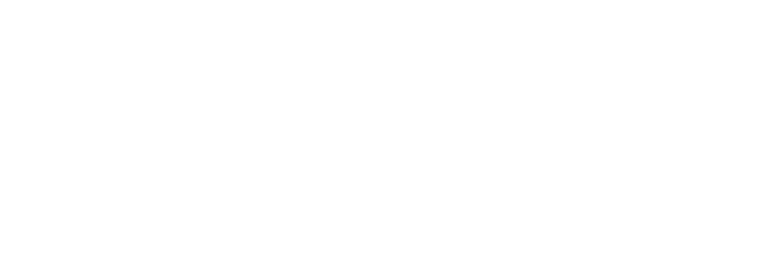 BLIZ official logo