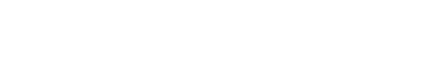 SANE PADEL official logo
